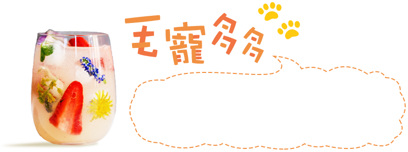 毛寵多多