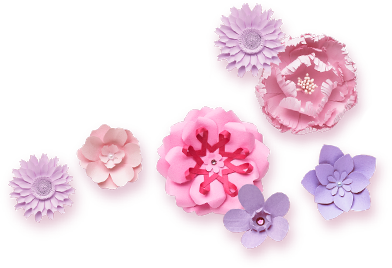 花朵群